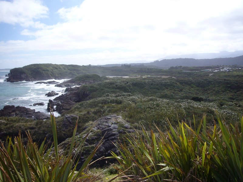 Travel - New Zealand - West Coast - Constant Bay